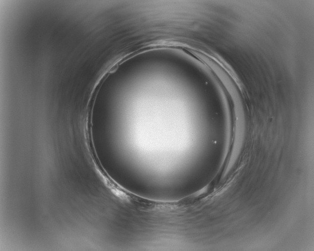 X0000073420909200608111348