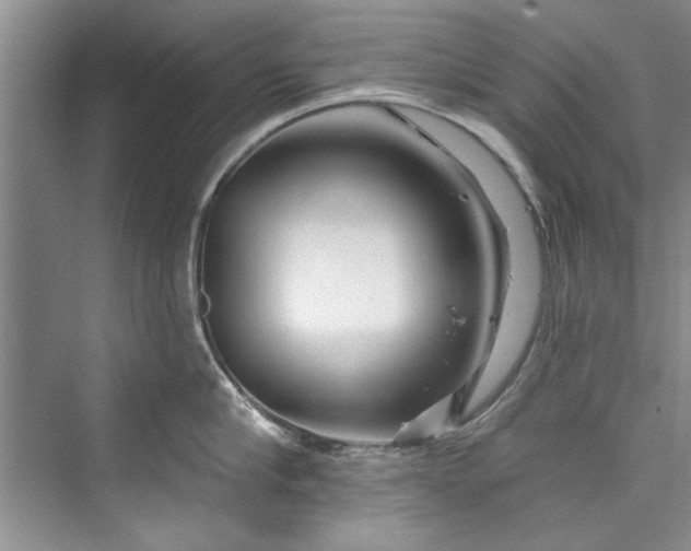 X0000073420910200608111348