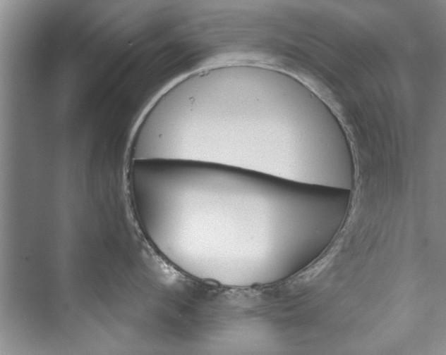 X0000073420912200608111348