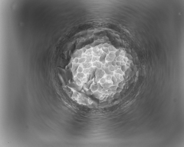 X0000073420913200608111347