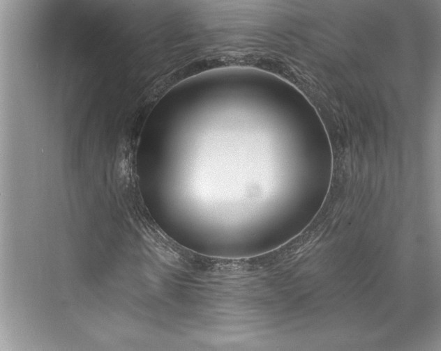 X0000073420914200608111347