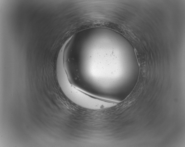 X0000073420916200608111347