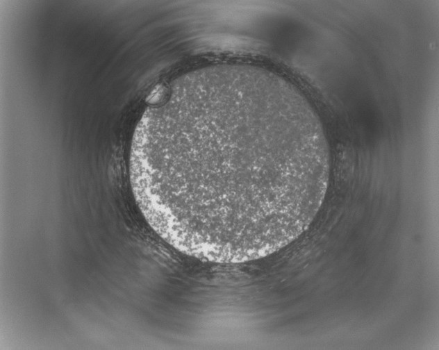 X0000073420918200608111347