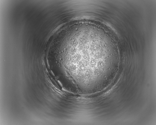 X0000073420921200608111347