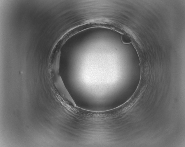 X0000073420923200608111347