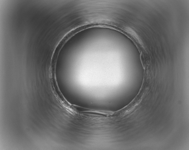 X0000073420924200608111347