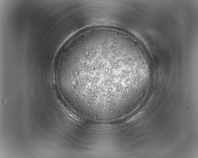 X0000073420925200608111347