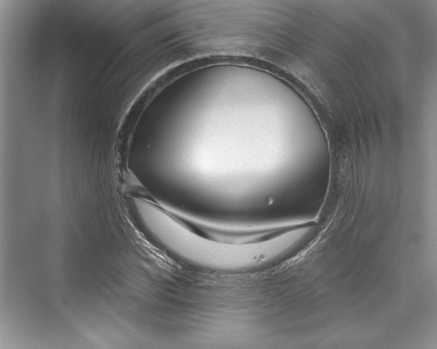 X0000073420926200608111347