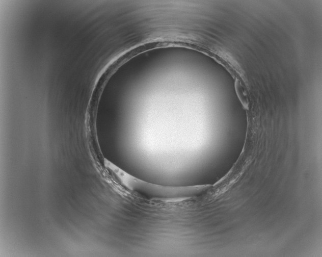 X0000073420928200608111347