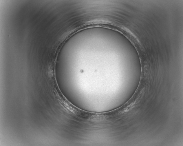 X0000073420929200608111347