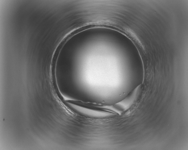 X0000073420932200608111347