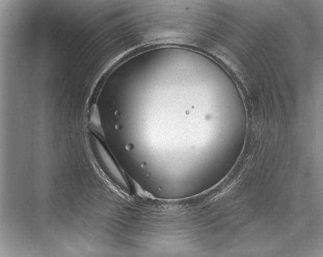 X0000073420933200608111347