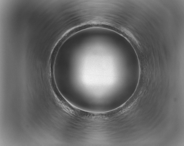 X0000073420934200608111347