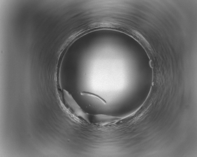 X0000073420938200608111347