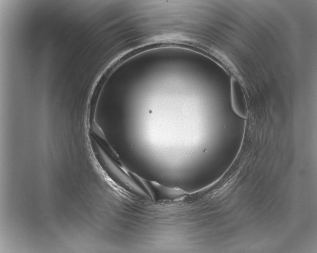 X0000073420939200608111347