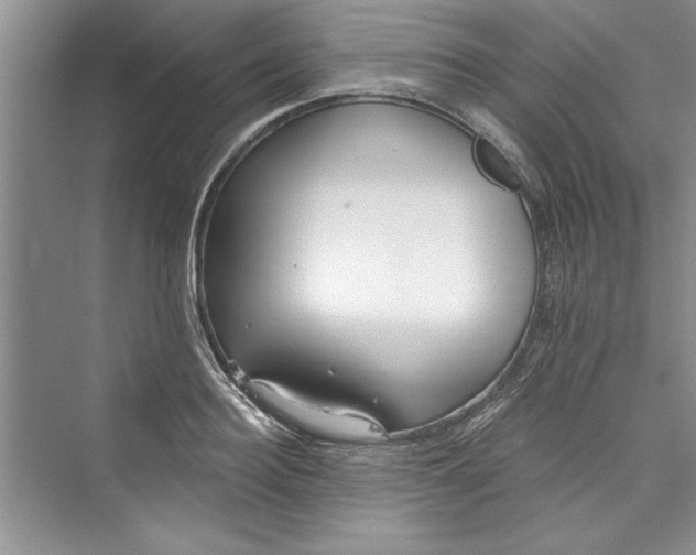 X0000073420940200608111347