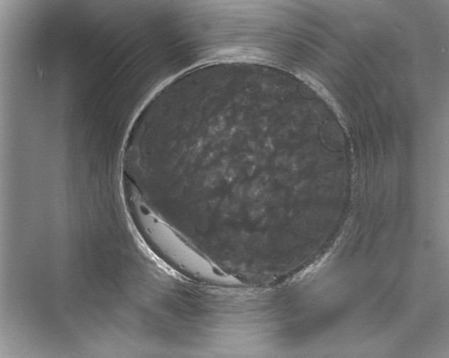 X0000073420941200608111347