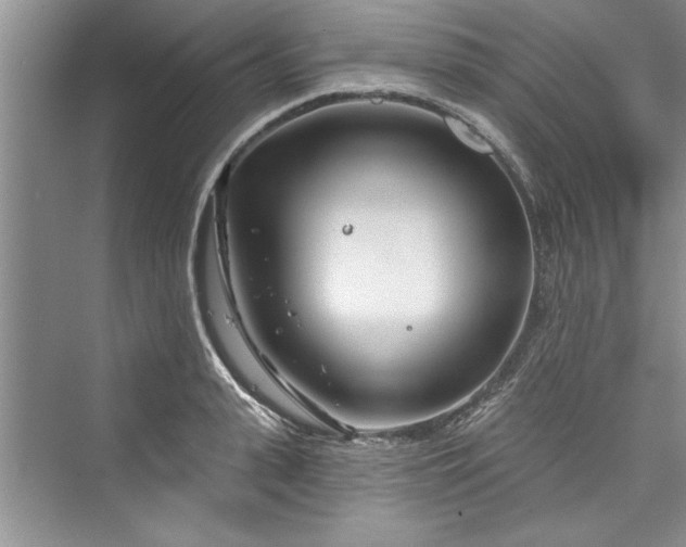 X0000073420943200608111347