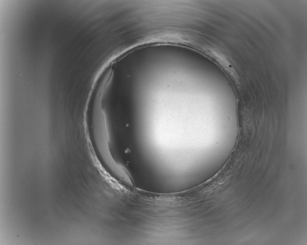 X0000073420944200608111347