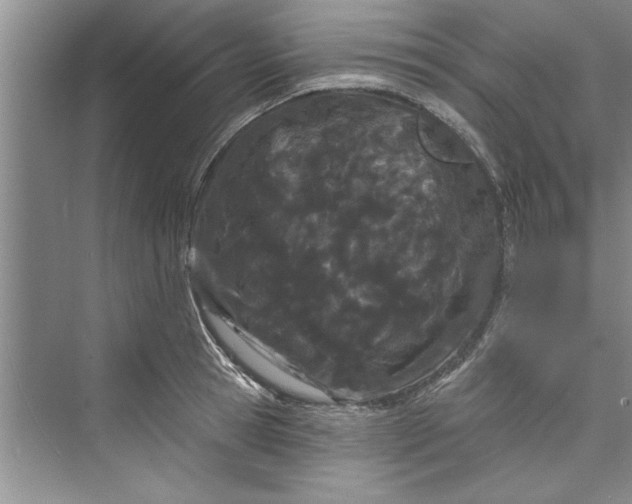 X0000073420945200608111347