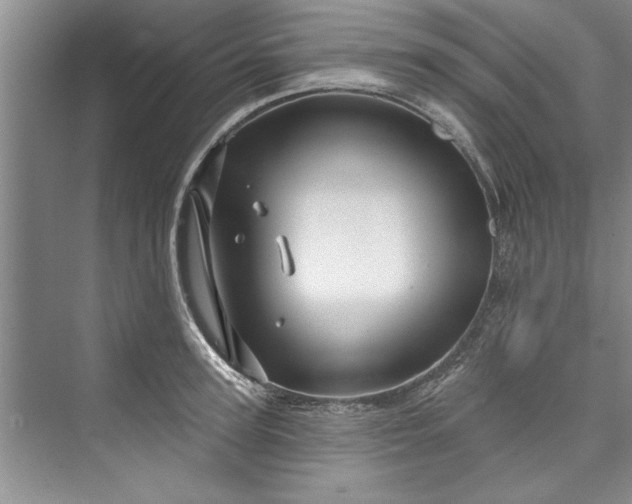 X0000073420947200608111347