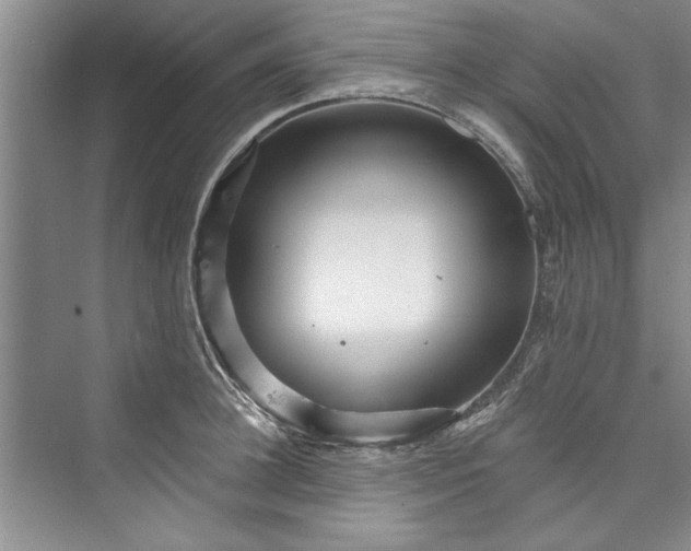 X0000073420948200608111347