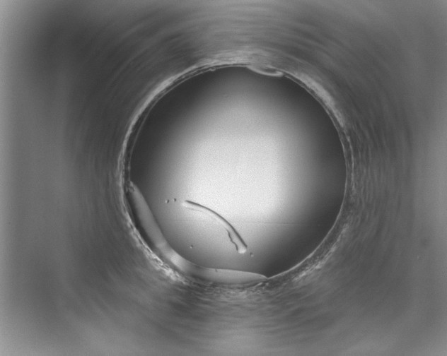 X0000073420949200608111347