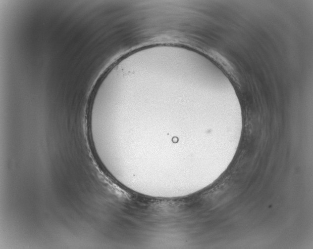 X0000073420950200608111347