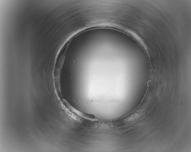 X0000073420951200608111347