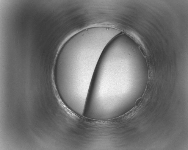 X0000073420952200608111347