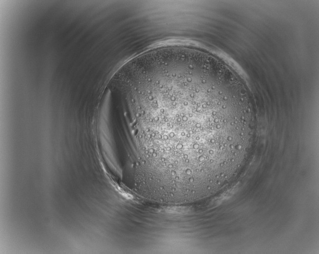 X0000073420953200608111347