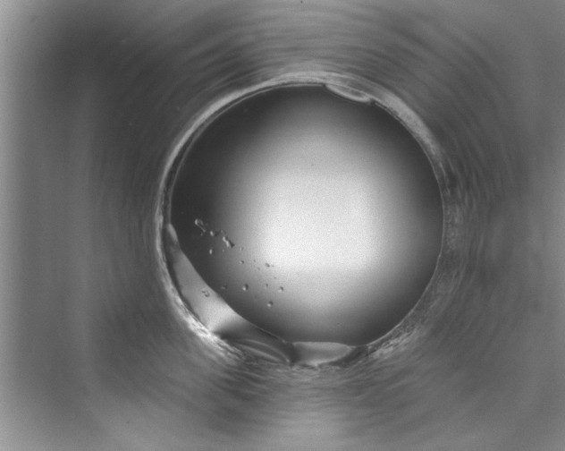 X0000073420955200608111347