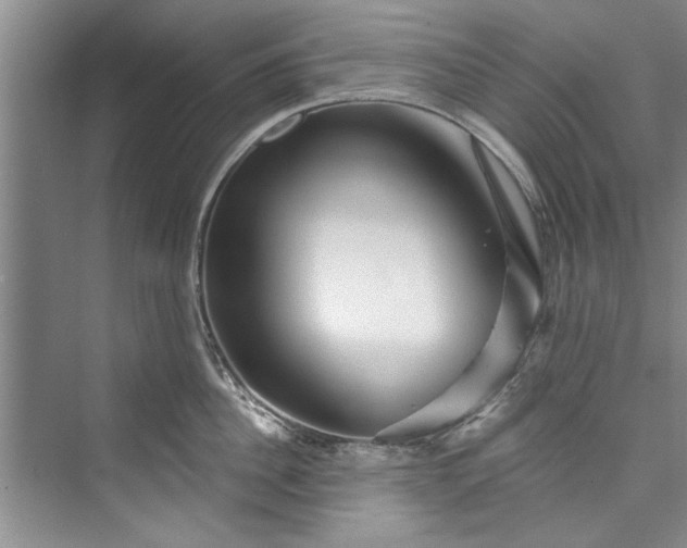 X0000073420956200608111347