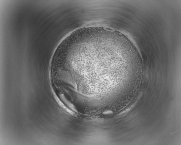 X0000073420957200608111347