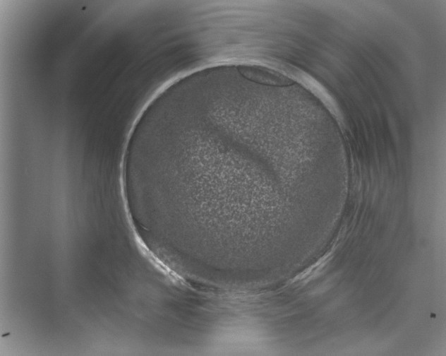 X0000073420958200608111347