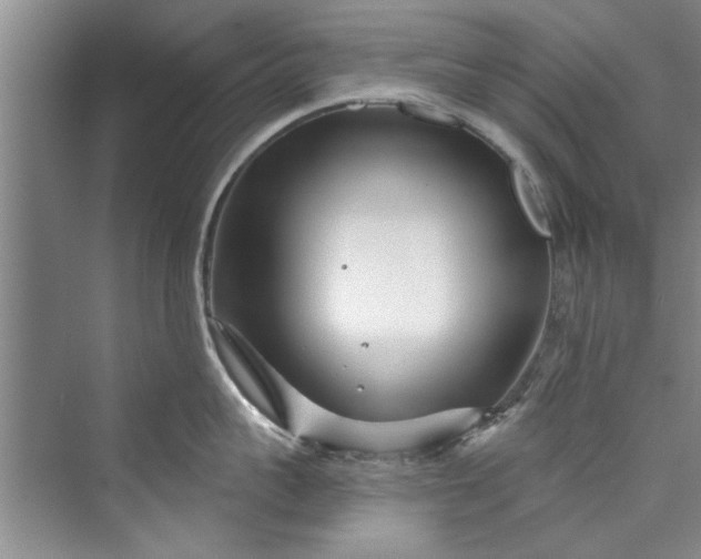 X0000073420959200608111348