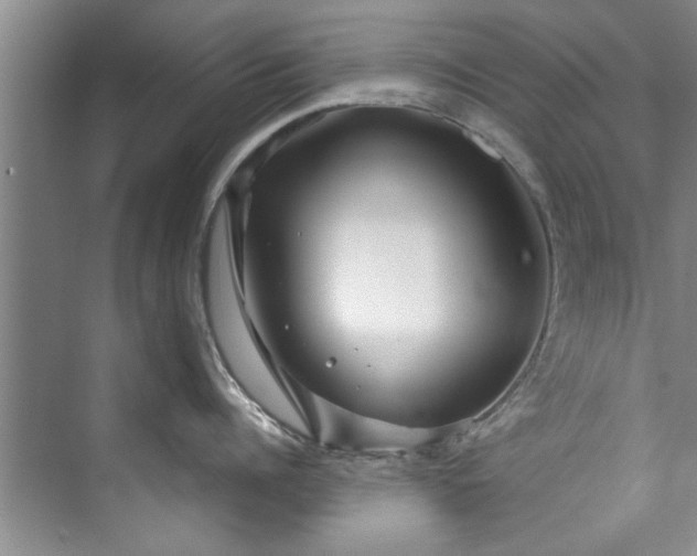 X0000073420960200608111348