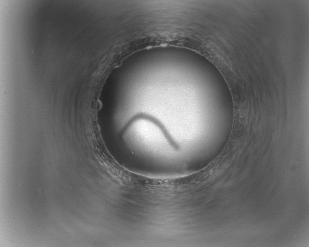 X0000073420961200608111347