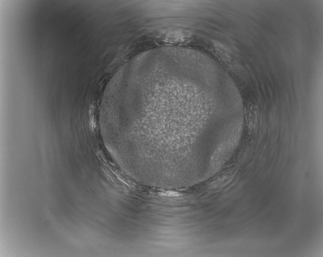 X0000073420962200608111347