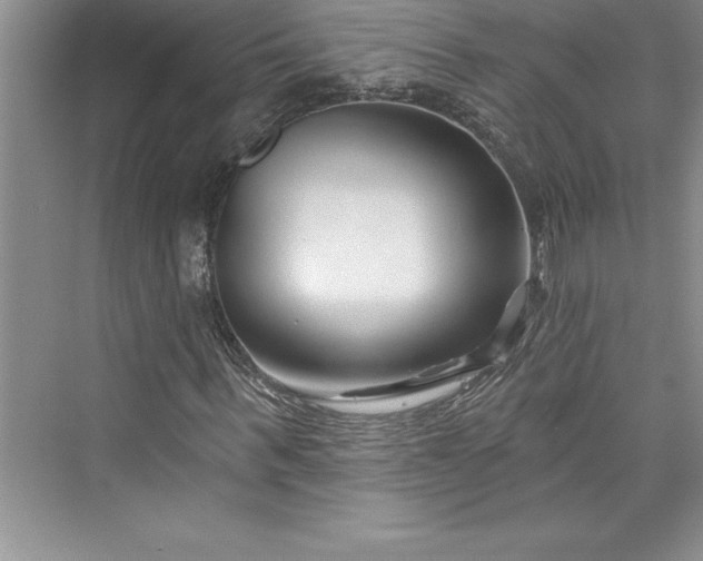 X0000073420963200608111347