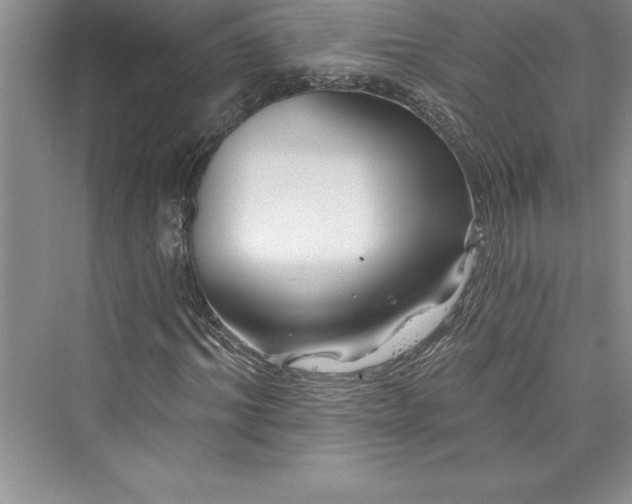 X0000073420964200608111347