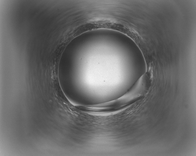 X0000073420965200608111347