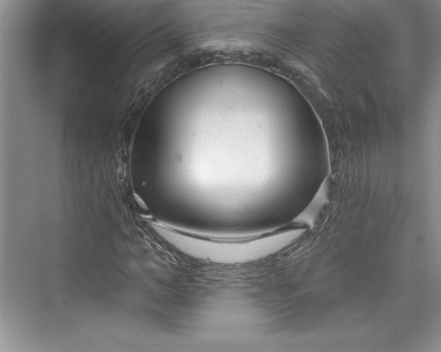 X0000073420966200608111347