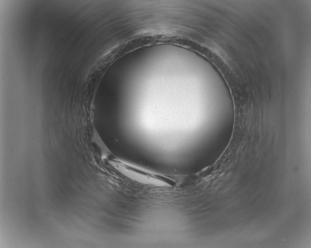 X0000073420967200608111347