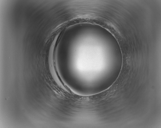 X0000073420968200608111347