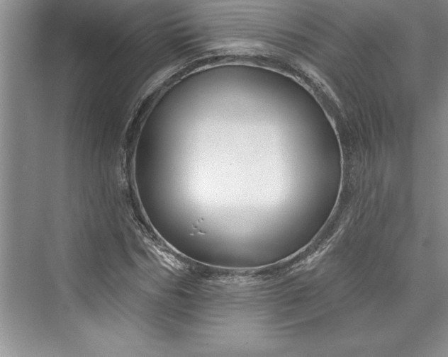 X0000073420970200608111347