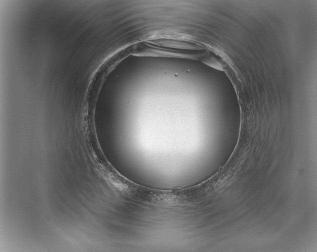 X0000073420971200608111347