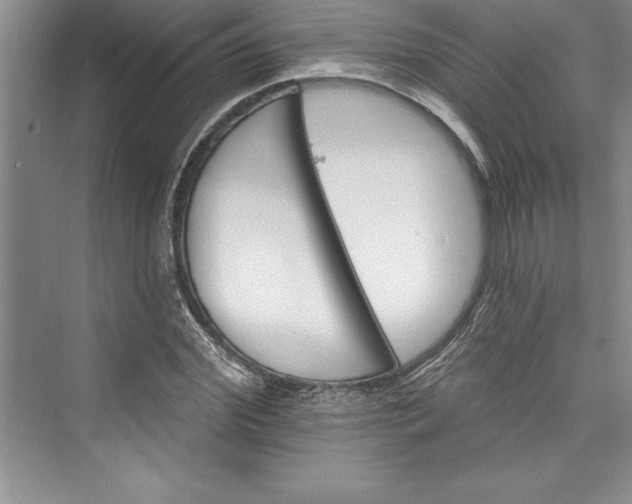 X0000073420972200608111347