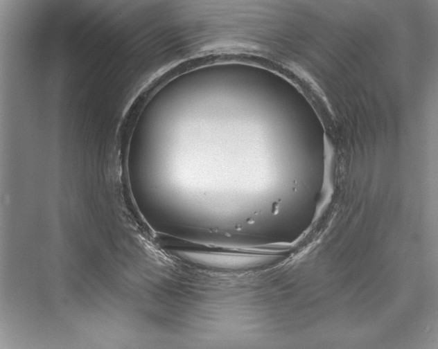 X0000073420973200608111347