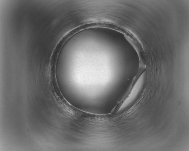 X0000073420975200608111346